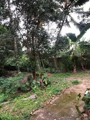 House for rent in Talwatte, Kandy