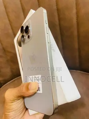 Apple iPhone 15 Pro Max 256GB (Used)