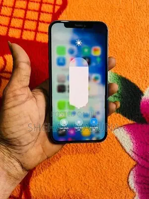 Apple iPhone 12 (Used)