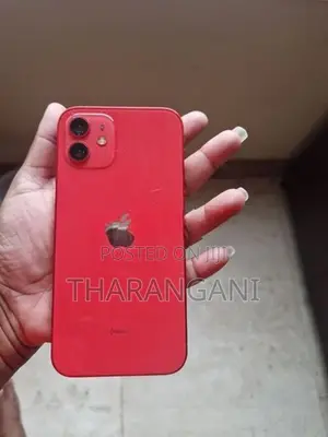 Apple iPhone 12 (Used)