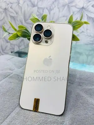 Apple iPhone 13 Pro (Used)