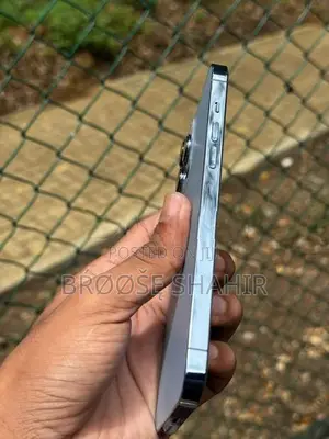 Apple iPhone 13 Pro Max (Used)
