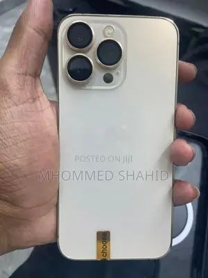Apple iPhone 13 Pro (Used)