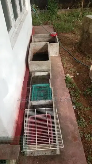 මළු ටැන්කි