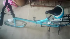 Japan Bicycle