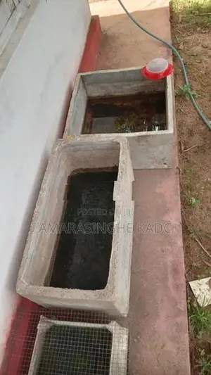 මළු ටැන්කි