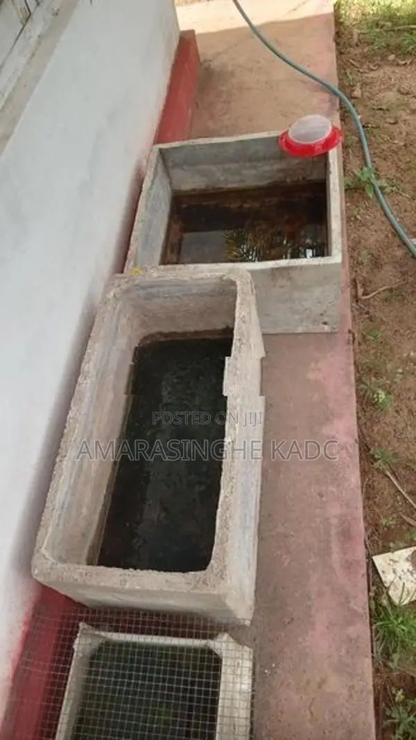 මළු ටැන්කි