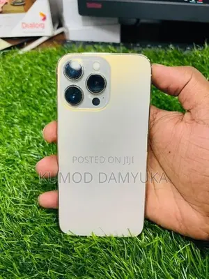 Apple iPhone 13 Pro 256GB (Used)