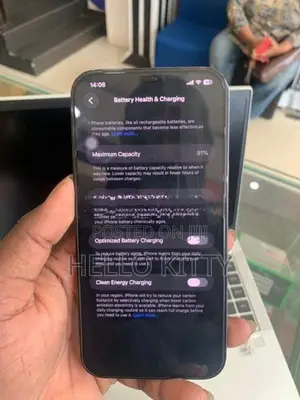 Apple iPhone 12 Pro Max 256GB (Used)