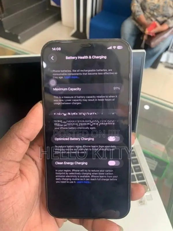 Apple iPhone 12 Pro Max 256GB (Used)