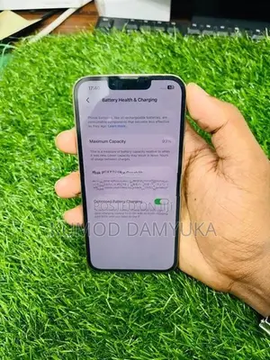 Apple iPhone 13 Pro 256GB (Used)
