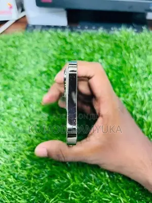 Apple iPhone 13 Pro 256GB (Used)