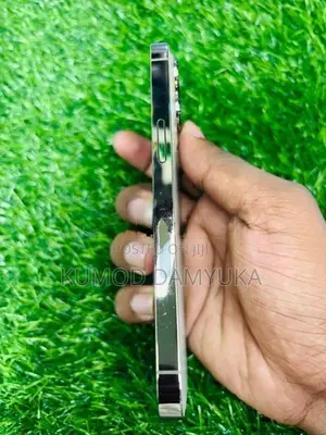 Apple iPhone 13 Pro 256GB (Used)