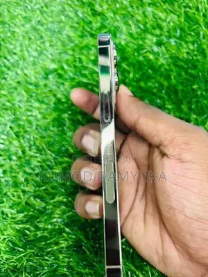 Apple iPhone 13 Pro 256GB (Used)