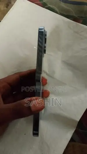 Apple iPhone 13 Pro Max (Used)