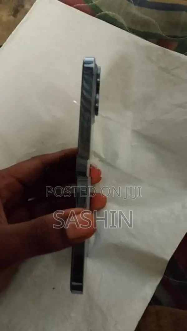 Apple iPhone 13 Pro Max (Used)