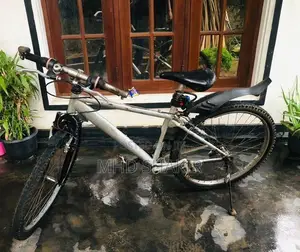 Panasonic Full Alloy Bicycle
