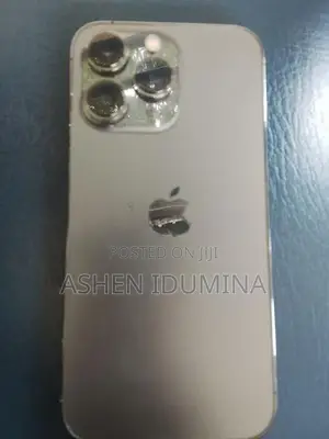 Apple iPhone 13 Pro (Used)