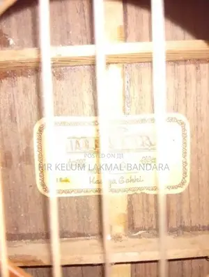 Guitar