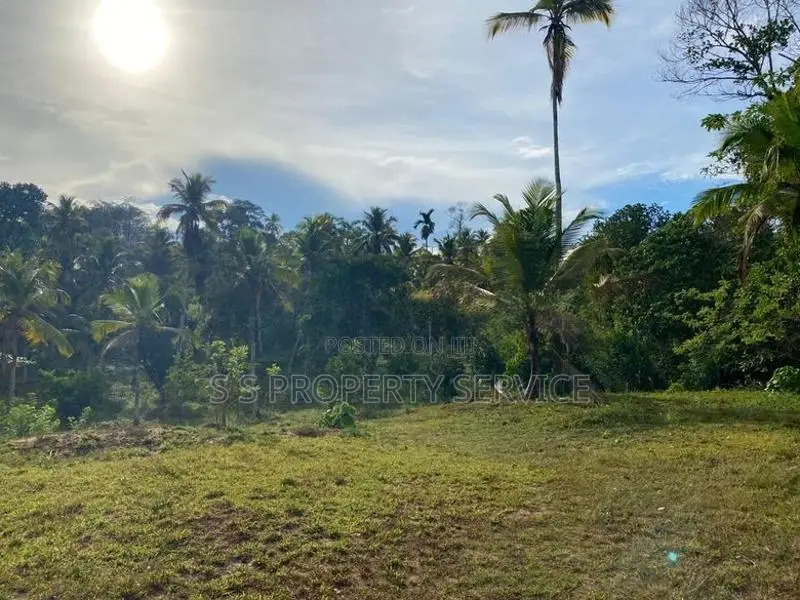 02 Acres Land for Sale in Ahangama (SSPL-390)