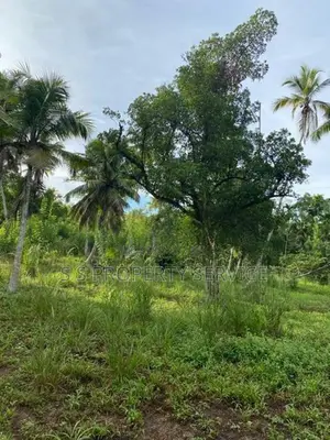 02 Acres Land for Sale in Ahangama (SSPL-390)