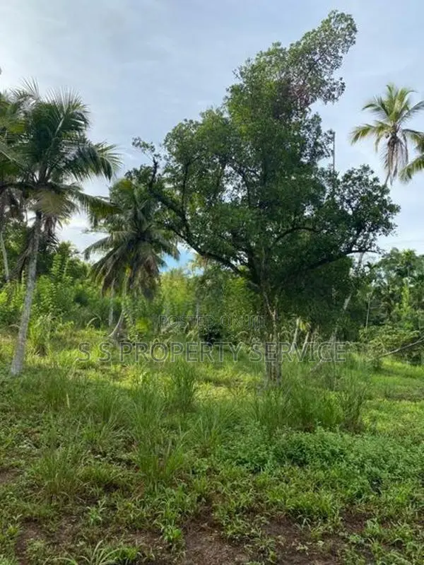 02 Acres Land for Sale in Ahangama (SSPL-390)