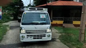 Suzuki Carry Freezer Truck 2023