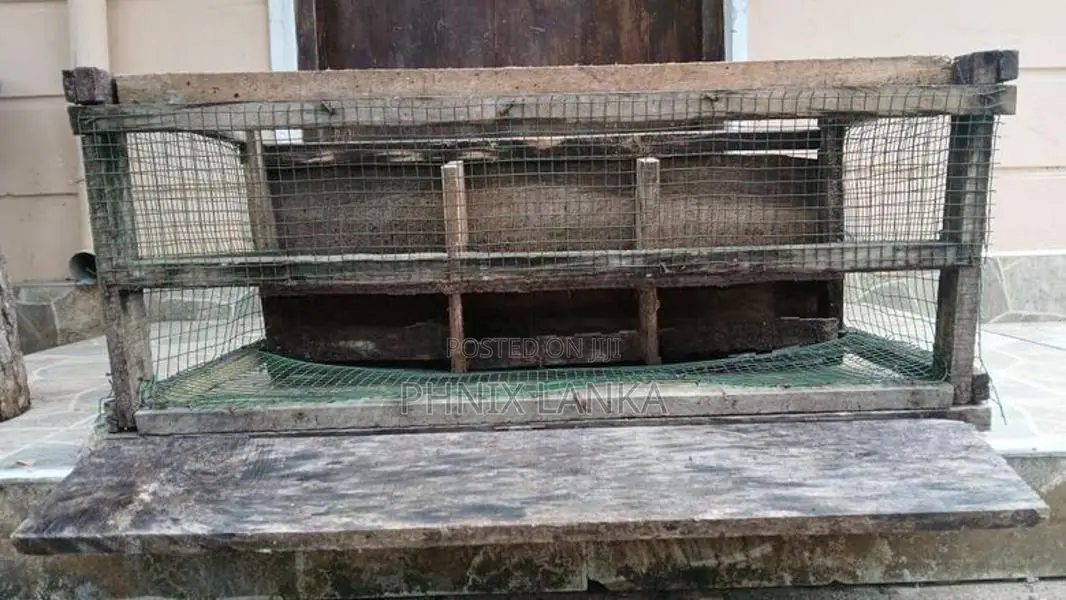 පරවි කුඩුව