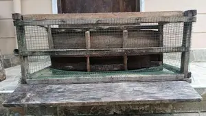 පරවි කුඩුව