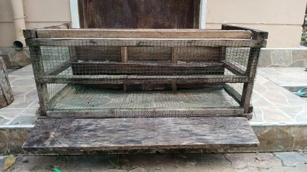 පරවි කුඩුව
