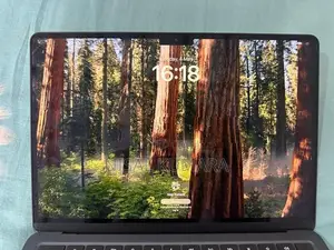 Apple MacBook Air M4