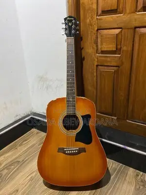 Ibanez Guitar