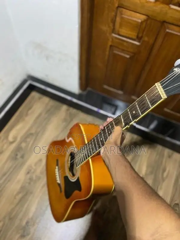 Ibanez Guitar