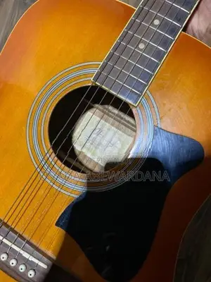 Ibanez Guitar