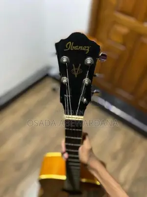 Ibanez Guitar