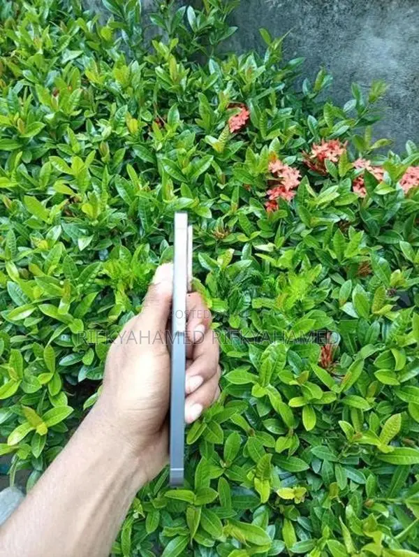Samsung Galaxy A56 (Used)