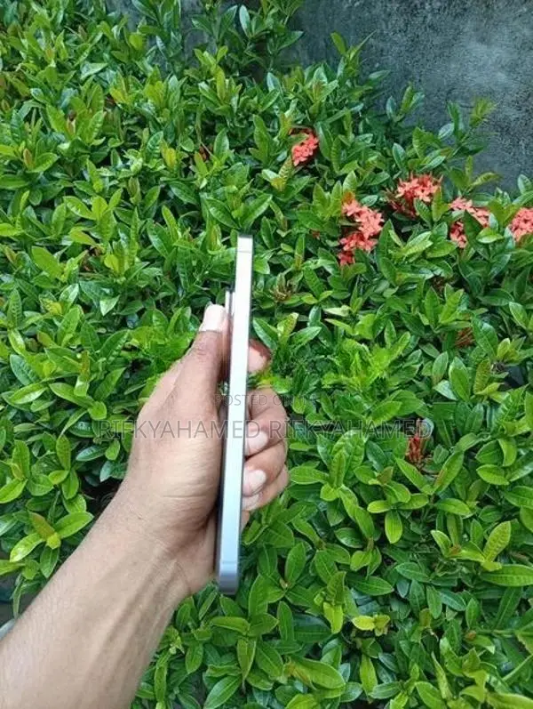 Samsung Galaxy A56 (Used)