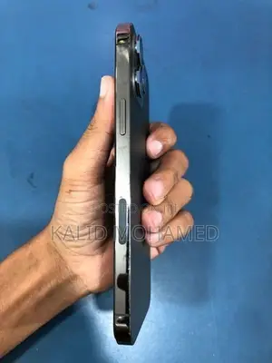 Apple iPhone 12 Pro Max (Used)