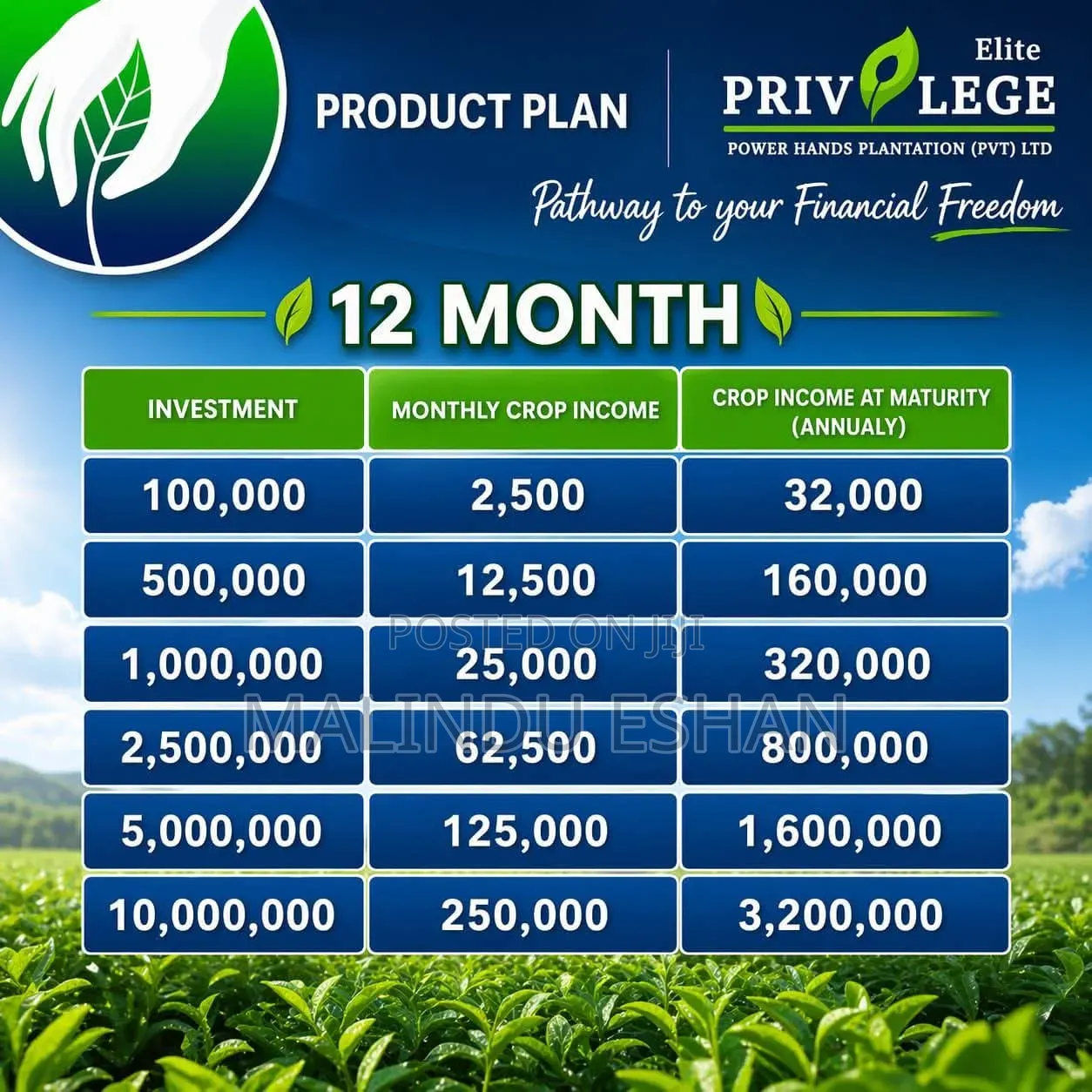 Tax Free Investment With Power Hands Plantation 30%Annually