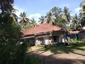 Coconut Land for Sale in Kegalle – Rambukkana