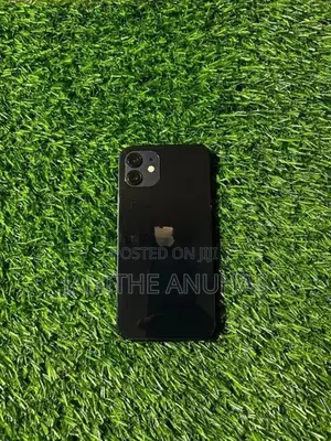 Apple iPhone 12 (Used)
