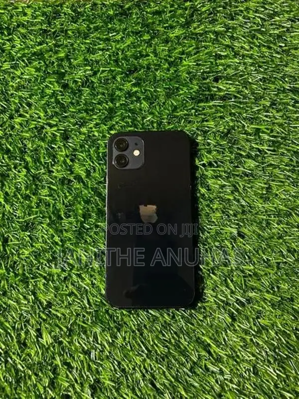 Apple iPhone 12 (Used)