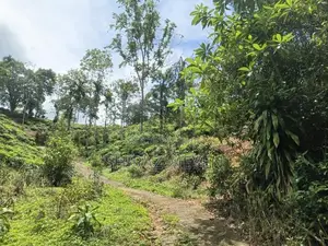 Land for Sale in Alawathugoda