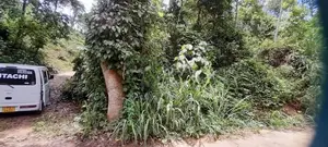 Land for Sale in Alawathugoda