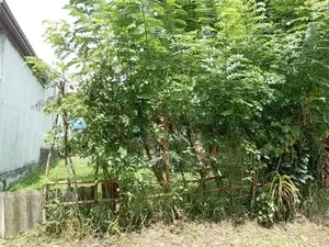 Panagoda 9.5 Perches Land for Sale (SSPL-391)
