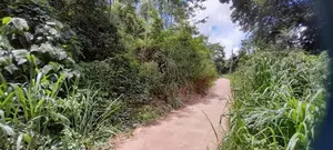 Land for Sale in Alawathugoda