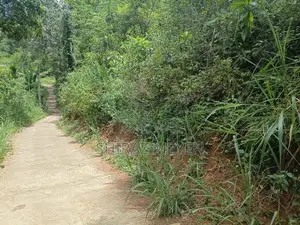 Land for Sale in Alawathugoda