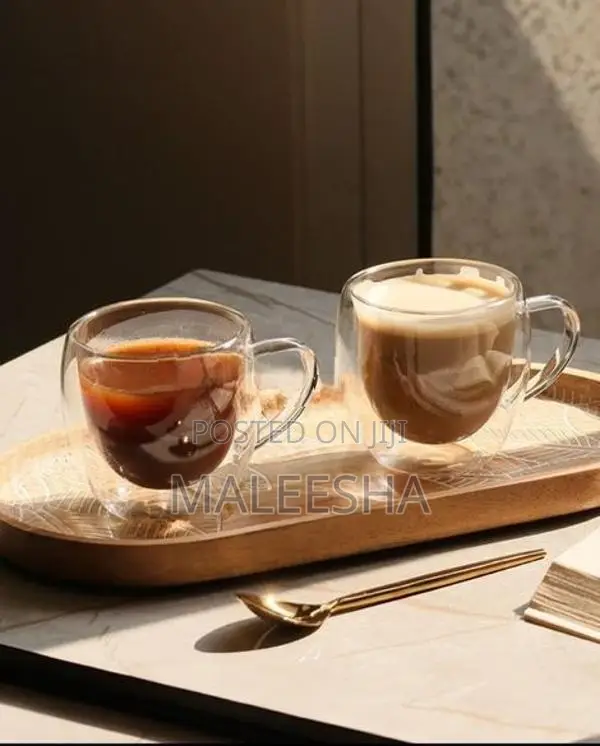 Double Glass Mug