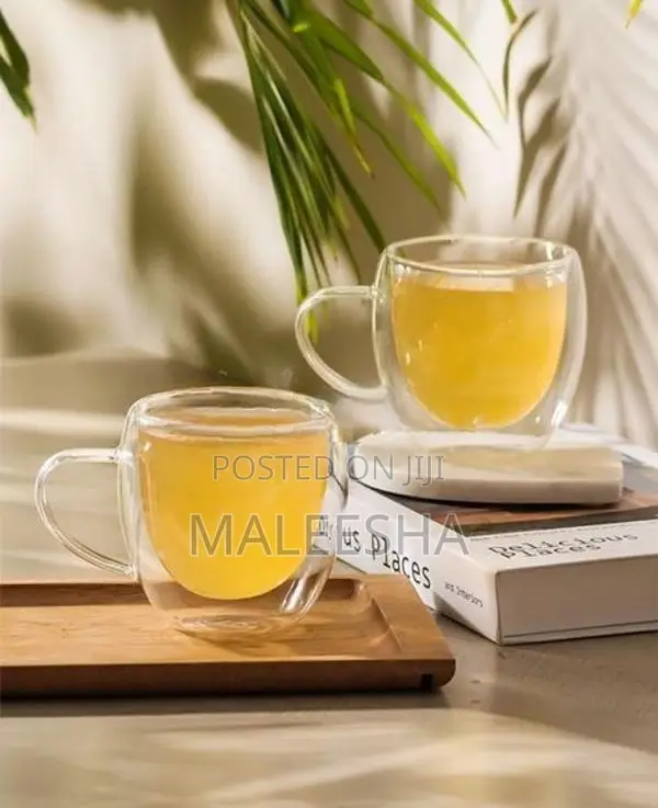 Double Glass Mug