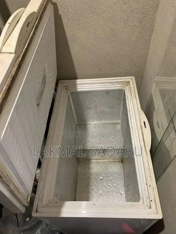 Singer Deep Freezer